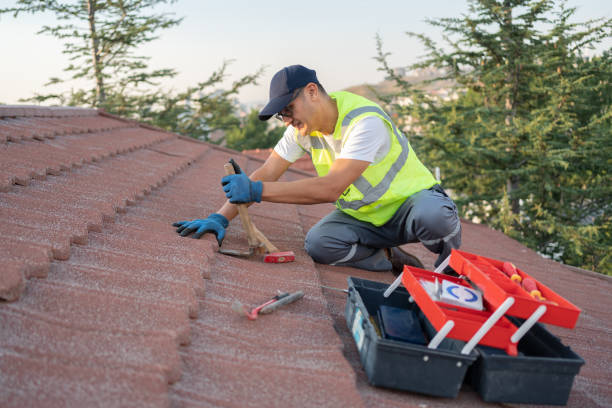 Best Residential Roofing Contractor  in Allegan, MI